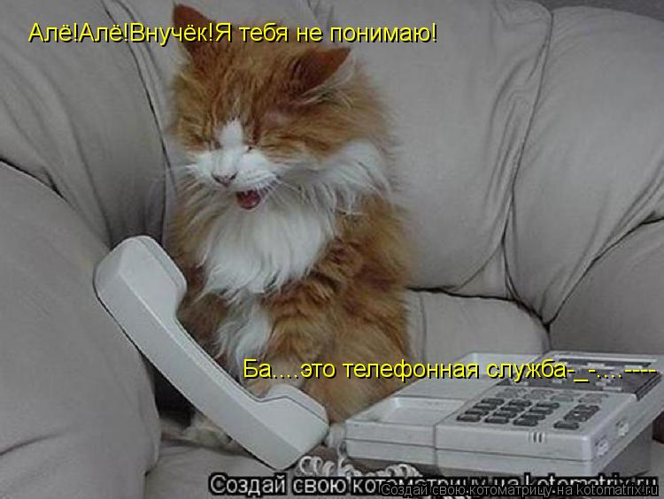 Котоматрица: Алё!Алё!Внучёк!Я тебя не понимаю! Ба....это телефонная служба-_-....----