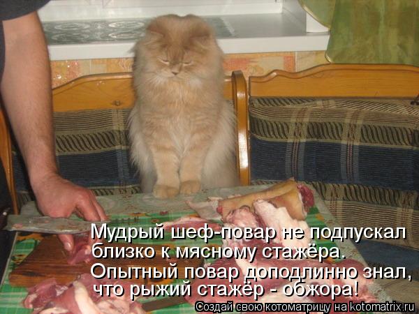 Котоматрица: что рыжий стажёр - обжора! Опытный повар доподлинно знал, близко к мясному стажёра. Мудрый шеф-повар не подпускал