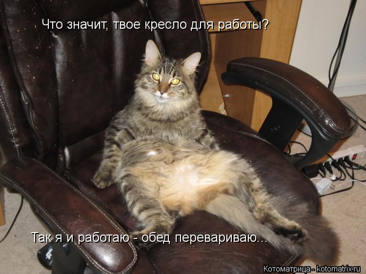 Котоматрица: Что значит, твое кресло для работы? Так я и работаю - обед перевариваю...