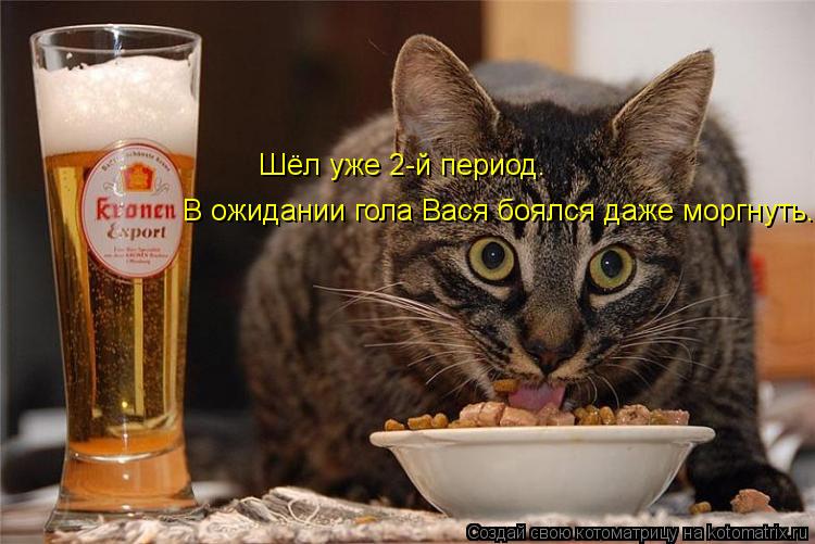 Котоматрица: Шёл уже 2-й период. В ожидании гола Вася боялся даже моргнуть.