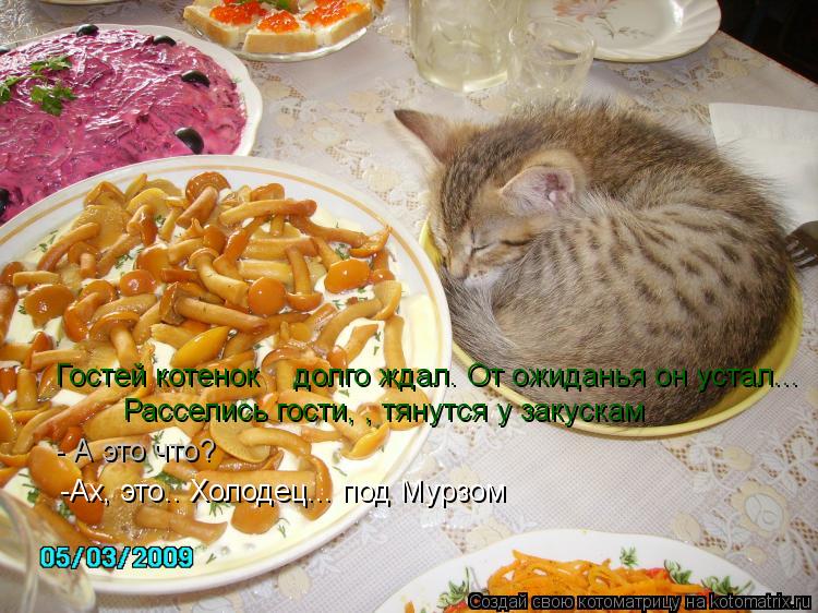 - А это что? -Ах, это.. Холодец... под Мурзом Гостей котенок долго ждал. От ожиданья он устал..... Котоматрица: - А это что? -Ах, это.. Холодец... под Мурзом Гостей котенок долго ждал. От ожиданья он устал... Расселись гости, , тянутся у закускам