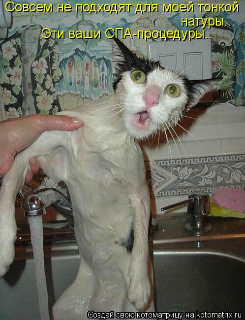 Котоматрица: Совсем не подходят для моей тонкой  натуры... Эти ваши СПА-процедуры..