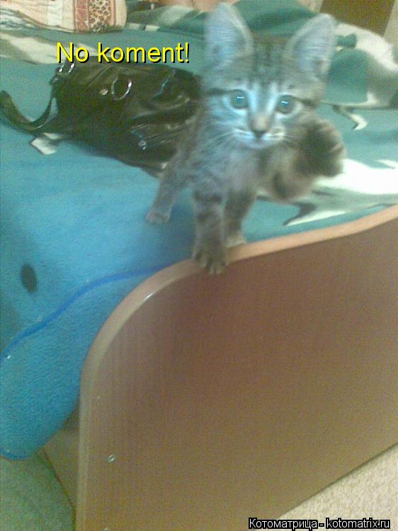 Котоматрица: No koment!