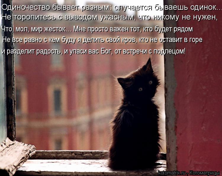 Котоматрица: Одиночество бывает разным: случается бываешь одинок… Не торопитесь с выводом ужасным, что никому не нужен,  Что, мол, мир жесток… Мне прост