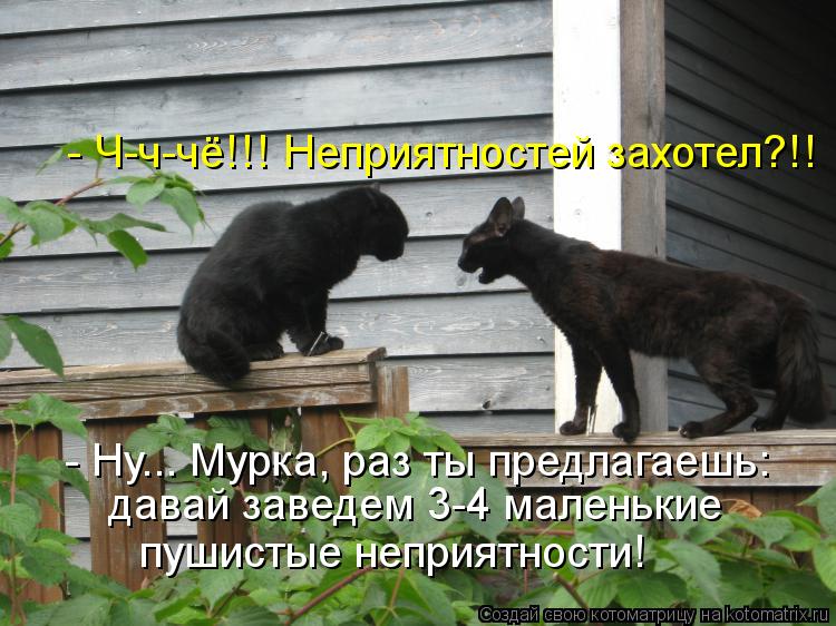 - Ч-ч-чё!!! Неприятностей захотел?!! - Ну... Мурка, раз ты предлагаешь: давай заведем 3-4 маленькие п... Котоматрица: - Ч-ч-чё!!! Неприятностей захотел?!! - Ну... Мурка, раз ты предлагаешь: давай заведем 3-4 маленькие пушистые неприятности!
