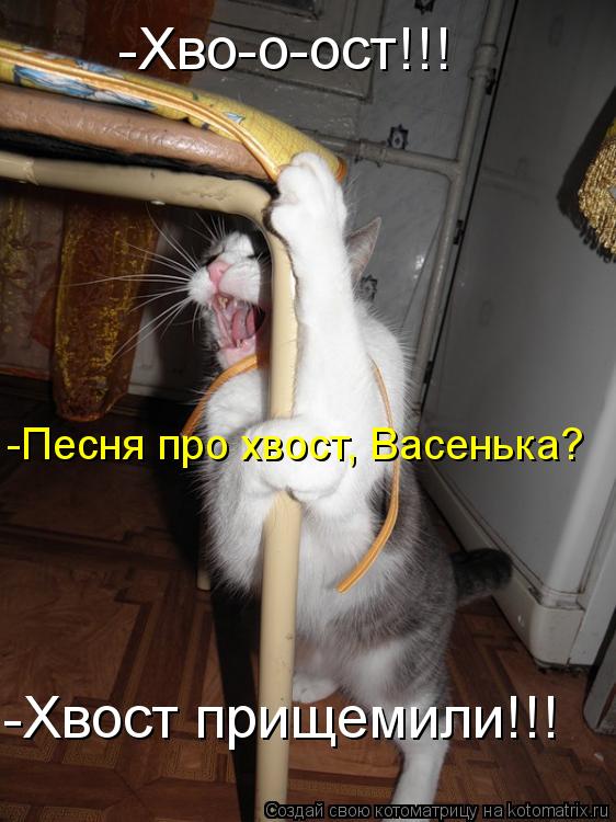 Котоматрица: -Хво-о-ост!!! -Песня про хвост, Васенька? -Хвост прищемили!!!