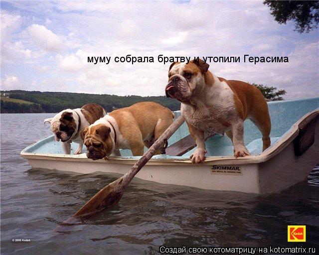 Котоматрица: муму собрала братву и утопили Герасима