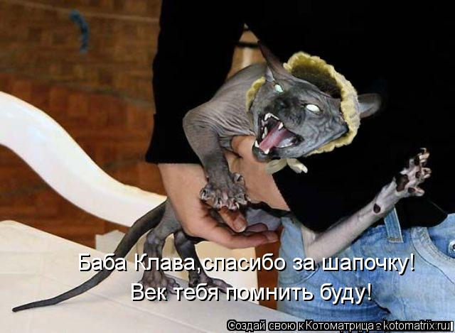 Котоматрица: Баба Клава,спасибо за шапочку! Век тебя помнить буду!