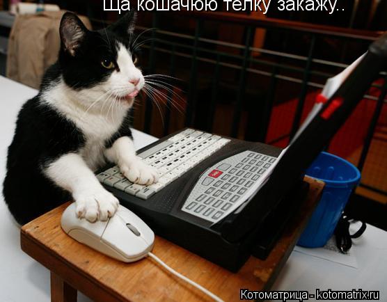 Ща кошачюю тёлку закажу..... Котоматрица: Ща кошачюю тёлку закажу..