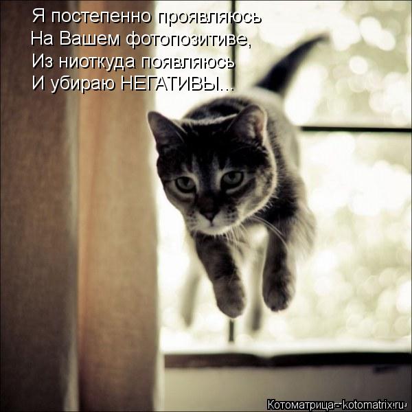 Котоматрица: Я постепенно проявляюсь На Вашем фотопозитиве, Из ниоткуда появляюсь И убираю НЕГАТИВЫ...