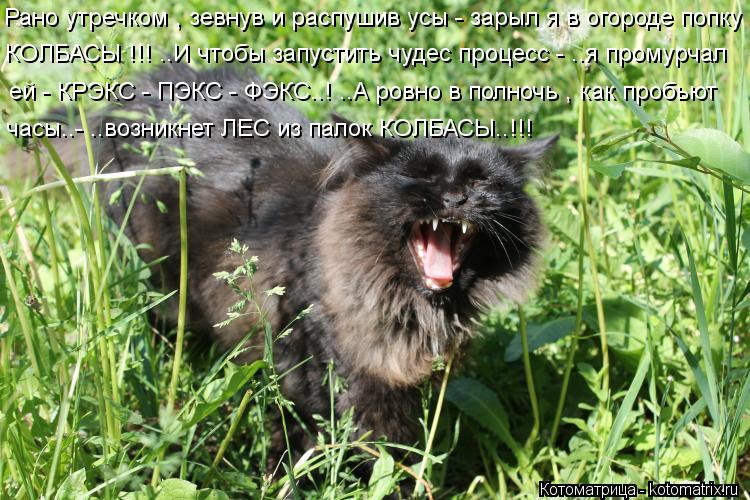 Котоматрица: Рано утречком , зевнув и распушив усы - зарыл я в огороде попку КОЛБАСЫ !!! ..И чтобы запустить чудес процесс - ..я промурчал  ей - КРЭКС - ПЭКС - ФЭ