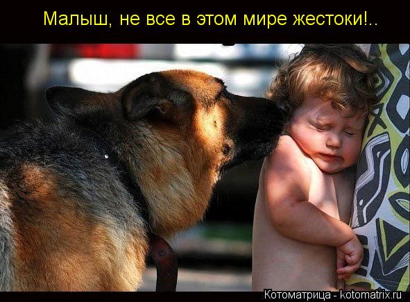 Котоматрица: Малыш, не все в этом мире жестоки!..