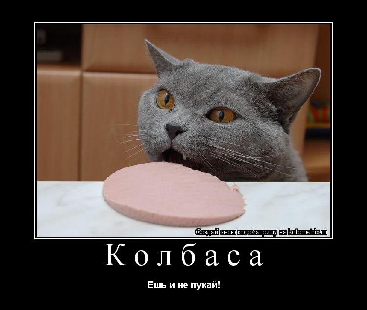 Котоматрица: Колбаса  Ешь и не пукай!