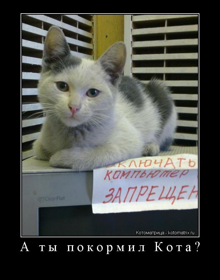 А ты покормил Кота? ... Котоматрица: А ты покормил Кота?