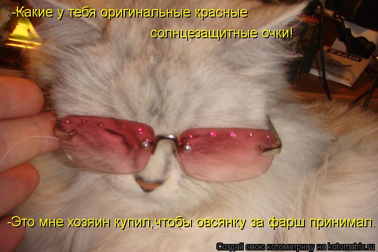-Какие у тебя оригинальные красные солнцезащитные очки! -Это мне хозяин купил,чтобы овсянку за фарш ... Котоматрица: -Какие у тебя оригинальные красные солнцезащитные очки! -Это мне хозяин купил,чтобы овсянку за фарш принимал.