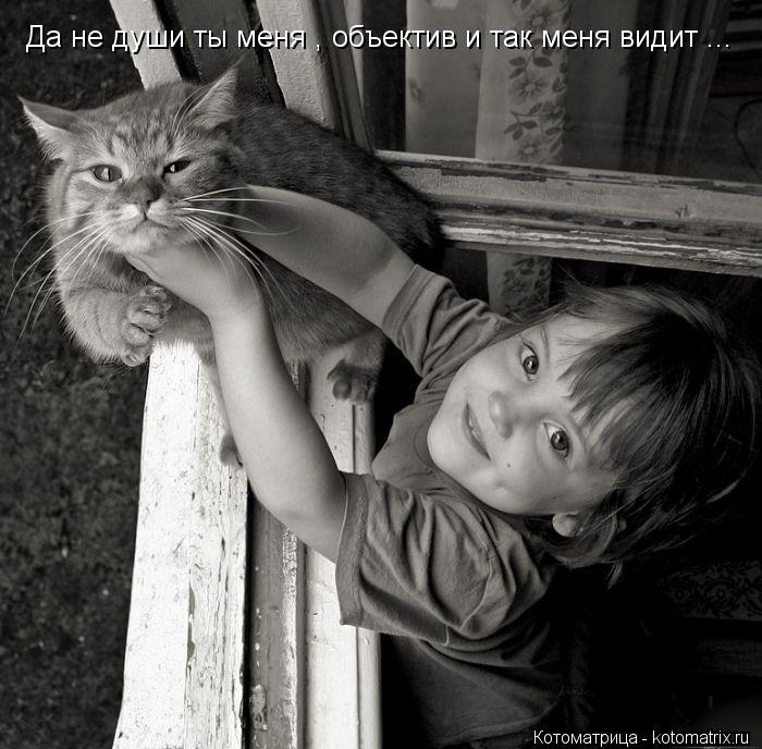 Котоматрица: Да не души ты меня , объектив и так меня видит ...