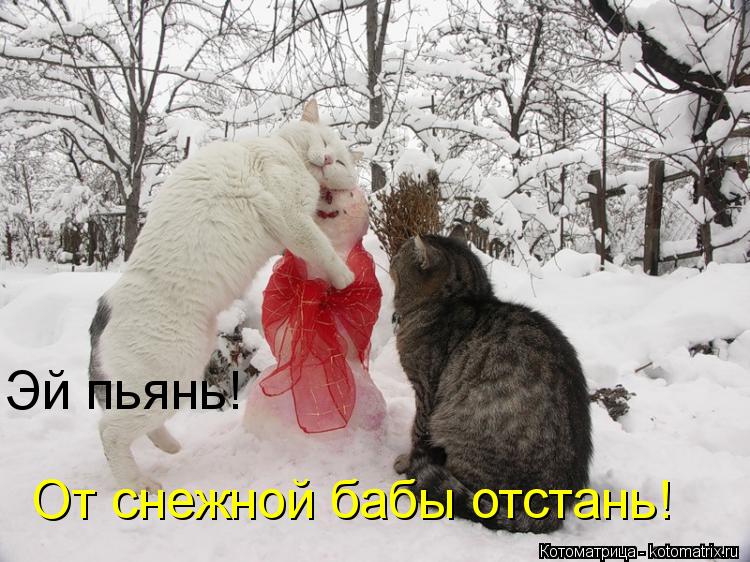 Эй пьянь! От снежной бабы отстань!... Котоматрица: Эй пьянь! От снежной бабы отстань!