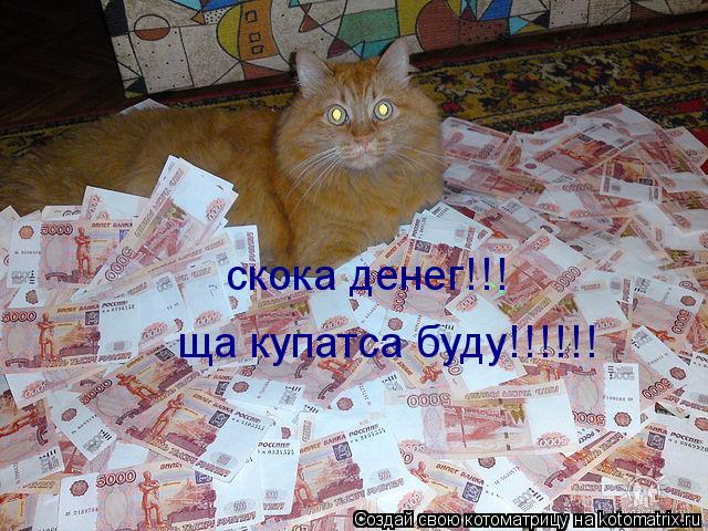 скока денег!!! ща купатса буду!!!!!!... Котоматрица: скока денег!!! ща купатса буду!!!!!!