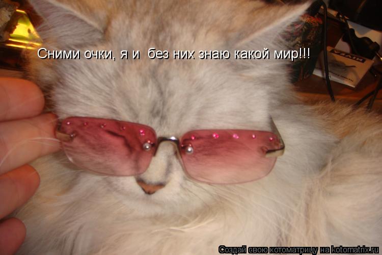 Сними очки, я и без них знаю какой мир!!!... Котоматрица: Сними очки, я и без них знаю какой мир!!!