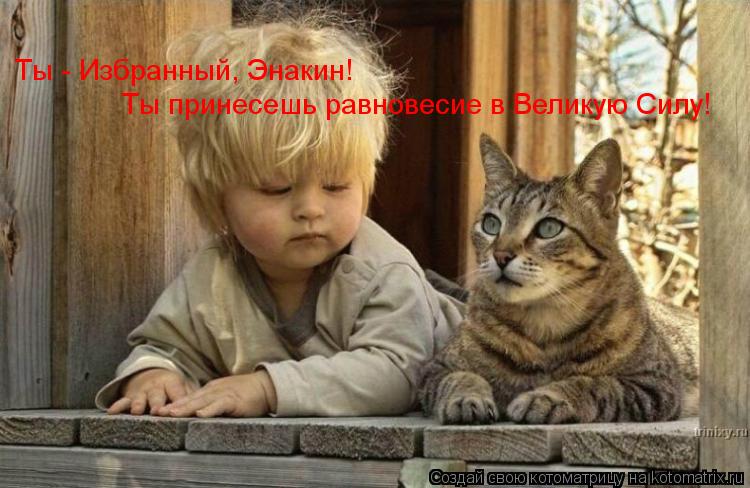 Котоматрица: Ты - Избранный, Энакин! Ты принесешь равновесие в Великую Силу!