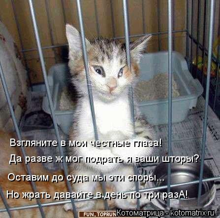 Котоматрица: Да разве ж мог подрать я ваши шторы? Оставим до суда мы эти споры... Взгляните в мои честные глаза! Но жрать давайте в день по три разА!
