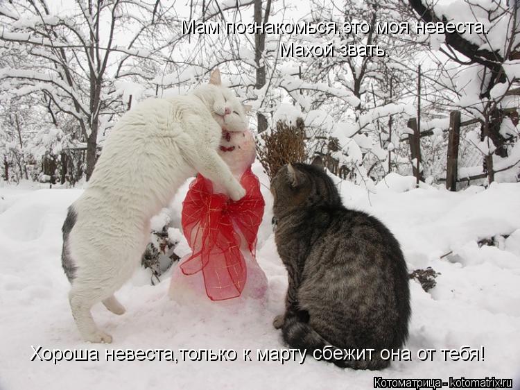Мам познакомься,это моя невеста. Махой звать. Хороша невеста,только к марту сбежит она от тебя!... Котоматрица: Мам познакомься,это моя невеста. Махой звать. Хороша невеста,только к марту сбежит она от тебя!