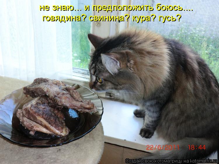 не знаю... и предположить боюсь.... говядина? свинина? кура? гусь?... Котоматрица: не знаю... и предположить боюсь.... говядина? свинина? кура? гусь?