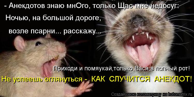 Ночью, на большой дороге, возле псарни... расскажу... Приходи и помяукай,только,Вася,в полный рот! ... Котоматрица: Ночью, на большой дороге, возле псарни... расскажу... Приходи и помяукай,только,Вася,в полный рот! - Анекдотов знаю мнОго, только Щас мне недос