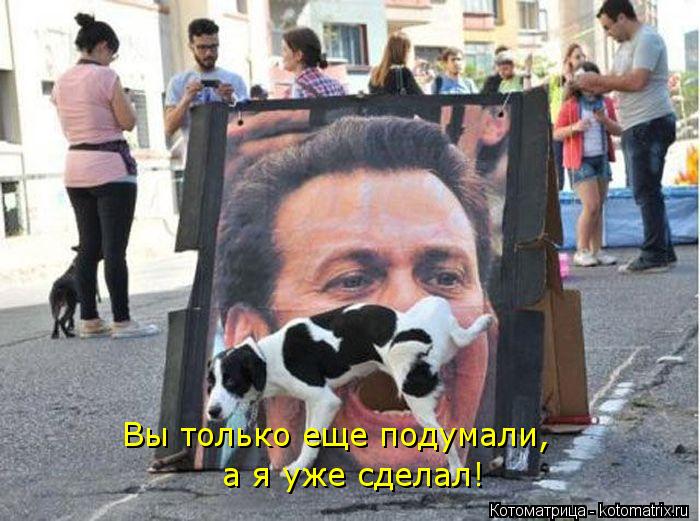 Вы только еще подумали, а я уже сделал!... Котоматрица: Вы только еще подумали, а я уже сделал!