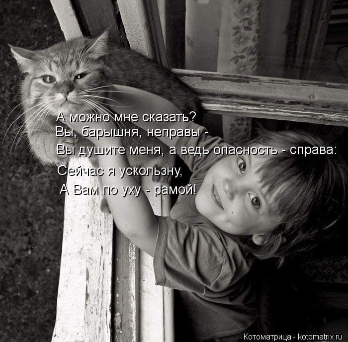 Котоматрица: А можно мне сказать? Вы, барышня, неправы - Вы душите меня, а ведь опасность - справа: Сейчас я ускользну,  А Вам по уху - рамой!