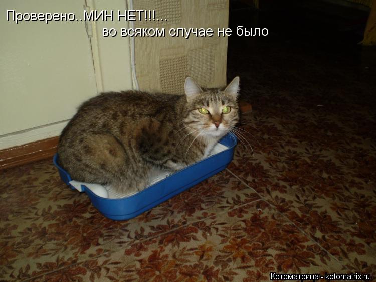 Котоматрица: Проверено..МИН НЕТ!!!... во всяком случае не было