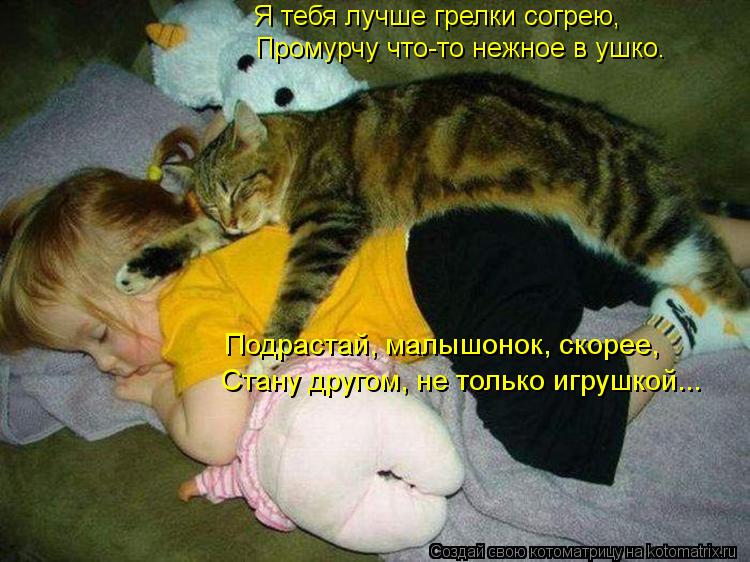 Подрастай, малышонок, скорее, Стану другом, не только игрушкой... Я тебя лучше грелки согрею, Промурч... Котоматрица: Подрастай, малышонок, скорее, Стану другом, не только игрушкой... Я тебя лучше грелки согрею, Промурчу что-то нежное в ушко.