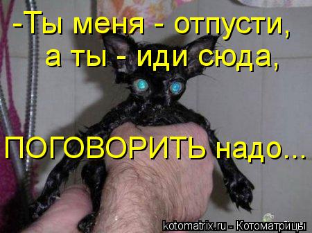 Котоматрица: -Ты меня - отпусти,  а ты - иди сюда,  ПОГОВОРИТЬ надо...