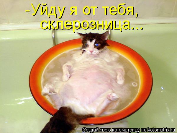 Котоматрица: -Уйду я от тебя,  склерозница...