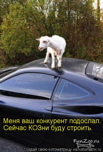 Котоматрица: Меня ваш конкурент подослал. Сейчас КОЗни буду строить.