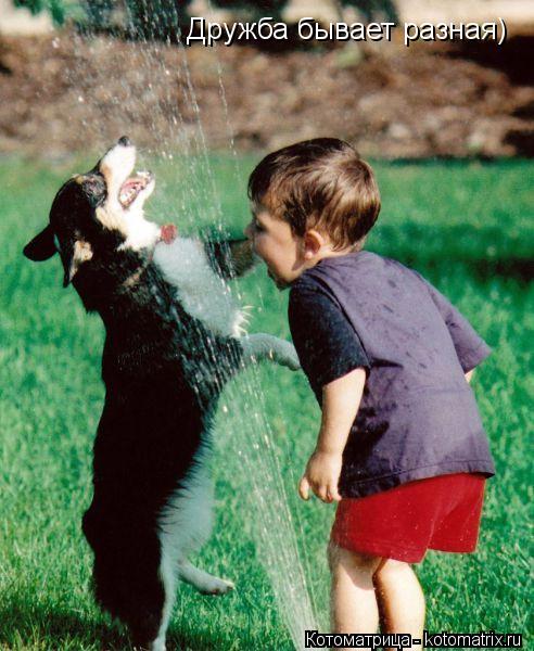 Котоматрица: Дружба бывает разная)