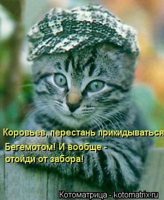 Котоматрица: Коровьев, перестань прикидываться  Бегемотом! И вообще -  отойди от забора!