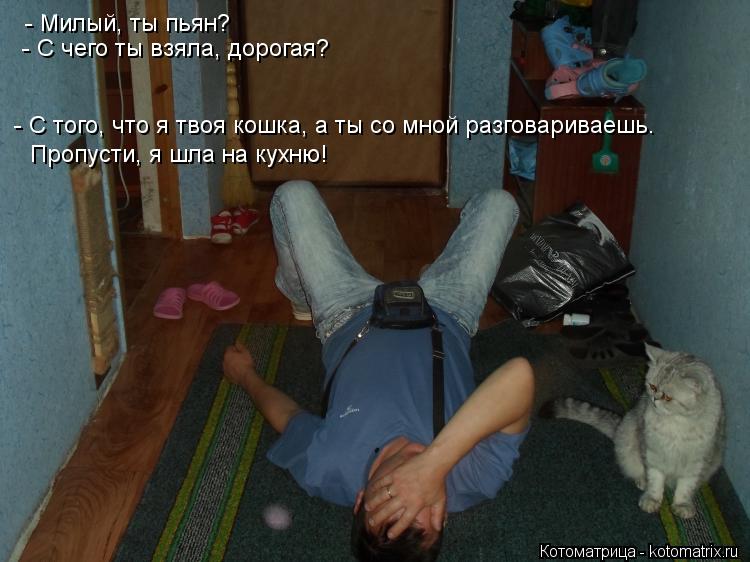 - Милый, ты пьян? - С чего ты взяла, дорогая? - С того, что я твоя кошка, а ты со мной разговариваешь... Котоматрица: - Милый, ты пьян? - С чего ты взяла, дорогая? - С того, что я твоя кошка, а ты со мной разговариваешь. Пропусти, я шла на кухню!