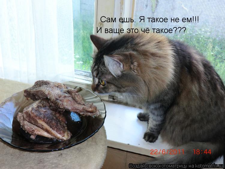 Сам ешь. Я такое не ем!!! И ваще это чё такое???... Котоматрица: Сам ешь. Я такое не ем!!! И ваще это чё такое???