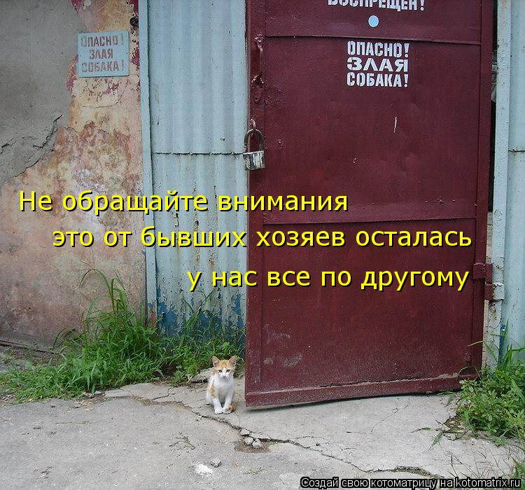 Не обращайте внимания это от бывших хозяев осталась у нас все по другому... Котоматрица: Не обращайте внимания это от бывших хозяев осталась у нас все по другому