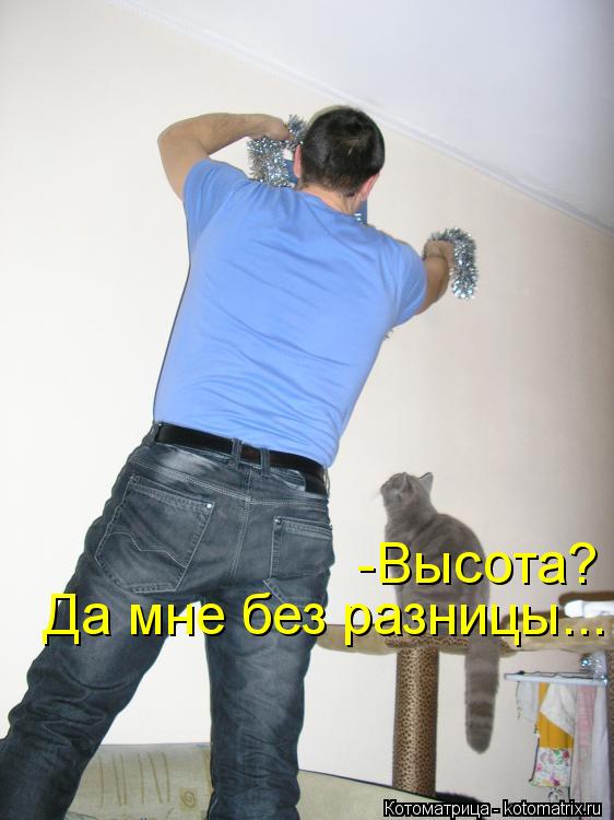 Котоматрица: -Высота? Да мне без разницы...
