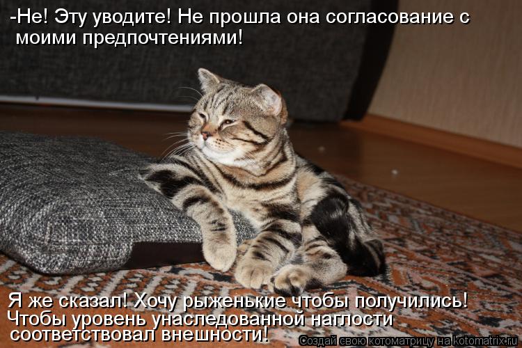 Котоматрица: -Не! Эту уводите! Не прошла она согласование с  моими предпочтениями!  Я же сказал! Хочу рыженькие чтобы получились!  Чтобы уровень унаследов
