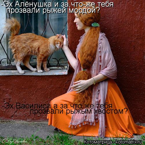 Котоматрица: -Эх Алёнушка и за,что-же тебя  прозвали рыжей мордой? -Эх,Василиса,а за что же тебя  прозвали рыжым хвостом?