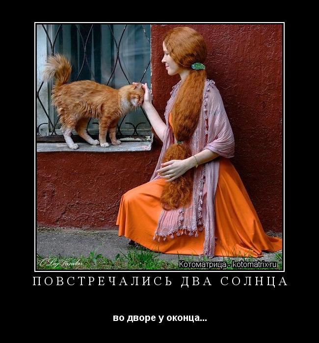 Котоматрица: ПОВСТРЕЧАЛИСЬ ДВА СОЛНЦА во дворе у оконца...