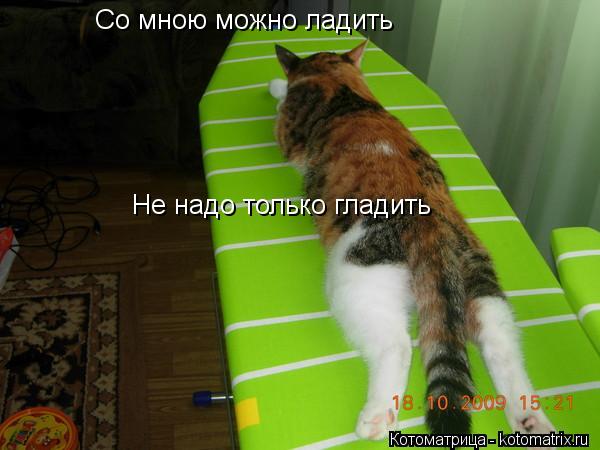 Котоматрица: Со мною можно ладить Не надо только гладить