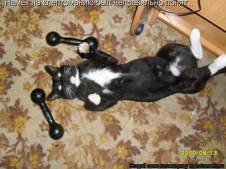 Котоматрица: Намек на клептоманию был неправильно понят...