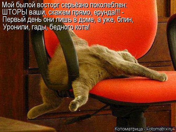 Котоматрица: Мой былой восторг серьёзно поколеблен: ШТОРЫ ваши, скажем прямо, ерунда!!! - Первый день они лишь в доме, а уже, блин, Уронили, гады, бедного кот