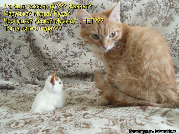 Котоматрица: Кто был, хозяин, тут??? Жаннет? Маруська? Мурка? Руда? Чернушка? Аська? Муська? ...НЕТ??? Тогда дитё откуда???