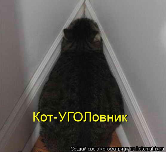 Котоматрица: Кот-УГОЛовник