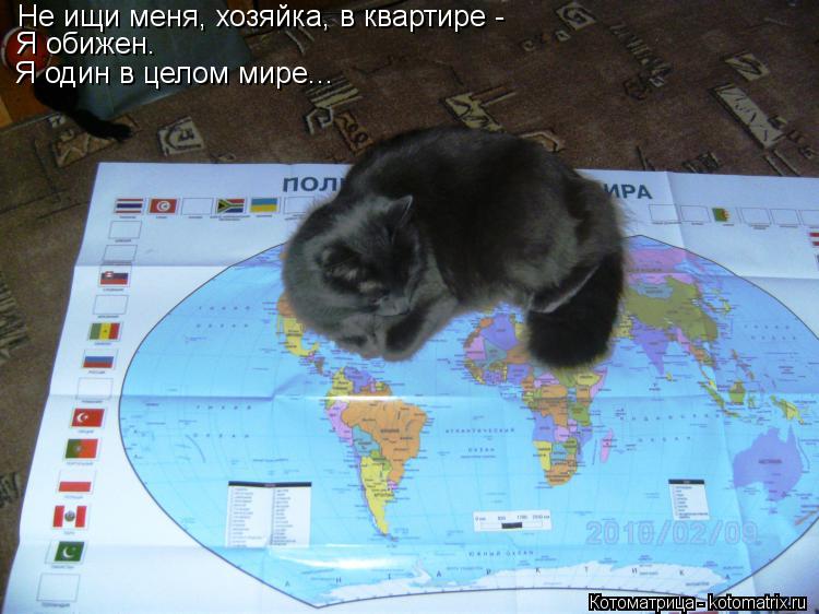 Котоматрица: Не ищи меня, хозяйка, в квартире - Я обижен. Я один в целом мире...